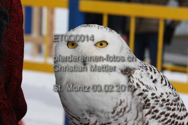 ET0Q0014 prot